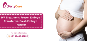 IVF Treatment: Frozen Embryo Transfer vs. Fresh Embryo Transfer