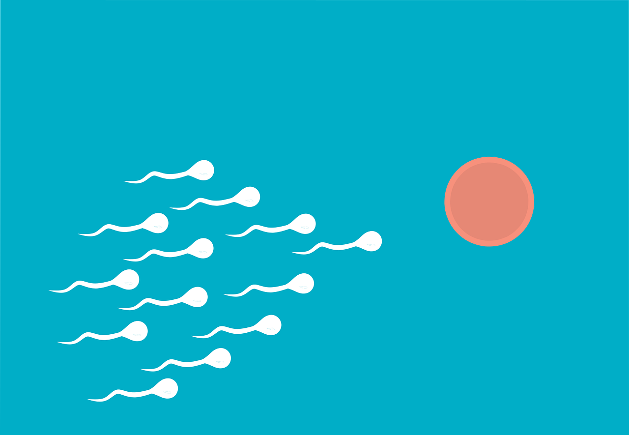 Low Sperm Count Remedies: Natural Solutions 